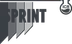 ICR Sprint